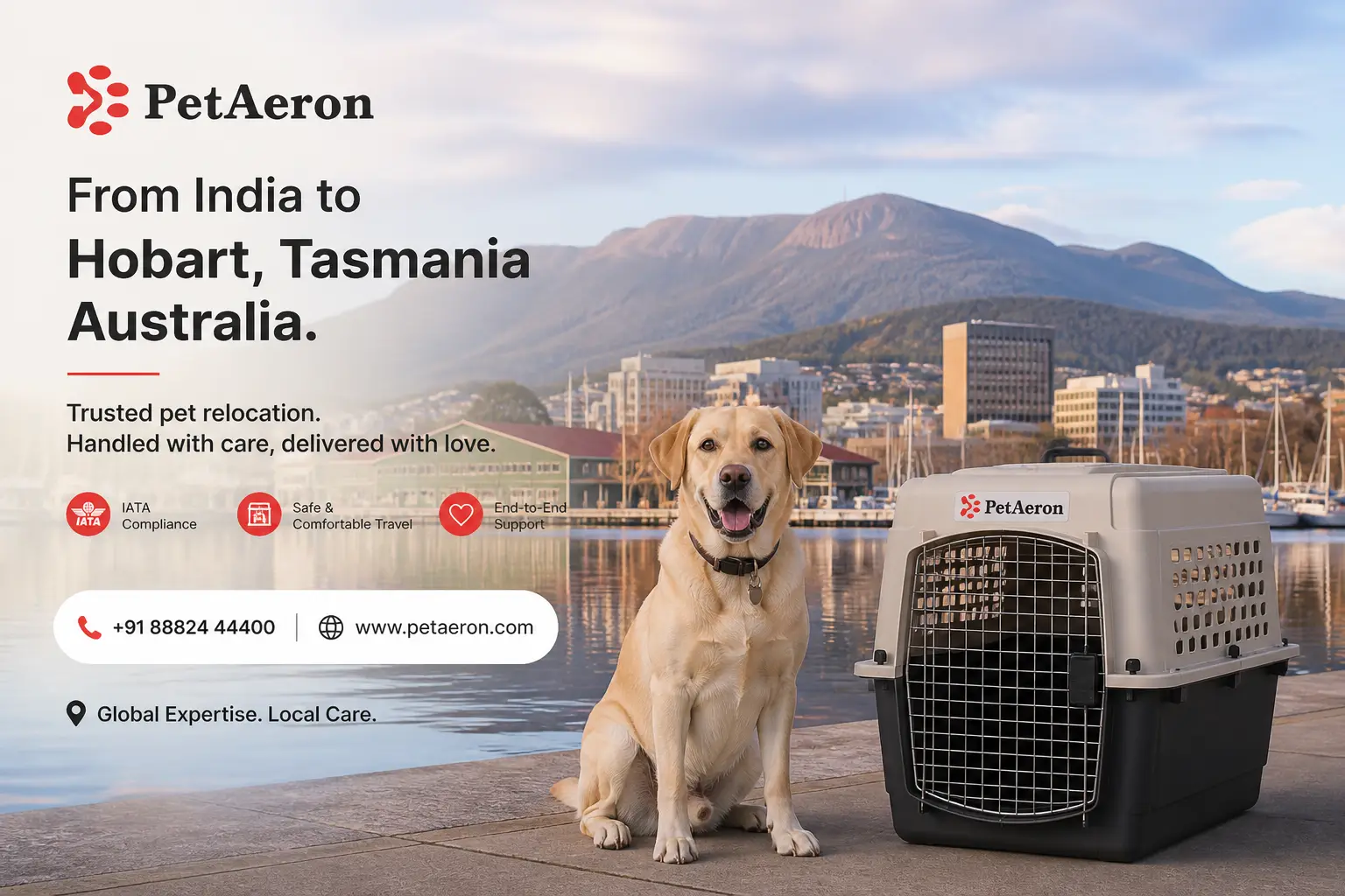 International pet relocation services from India to Hobart, dog in IATA travel crate with Hobart waterfront and Mount Wellington