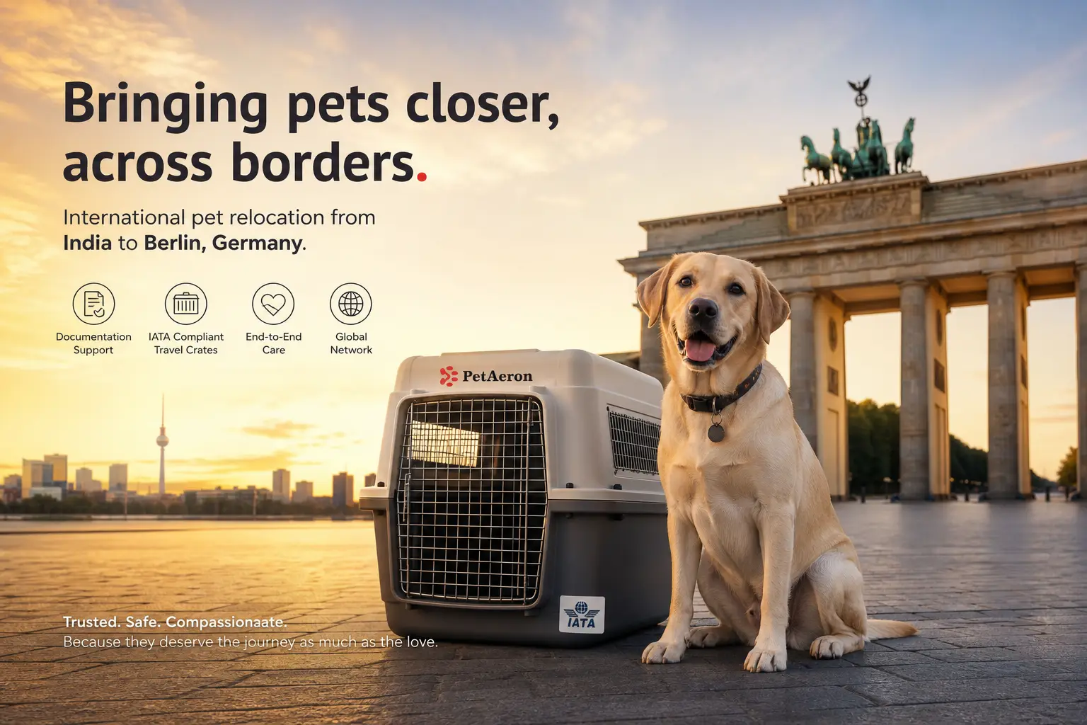 International pet relocation services from India to Berlin, dog in IATA travel crate with Brandenburg Gate skyline