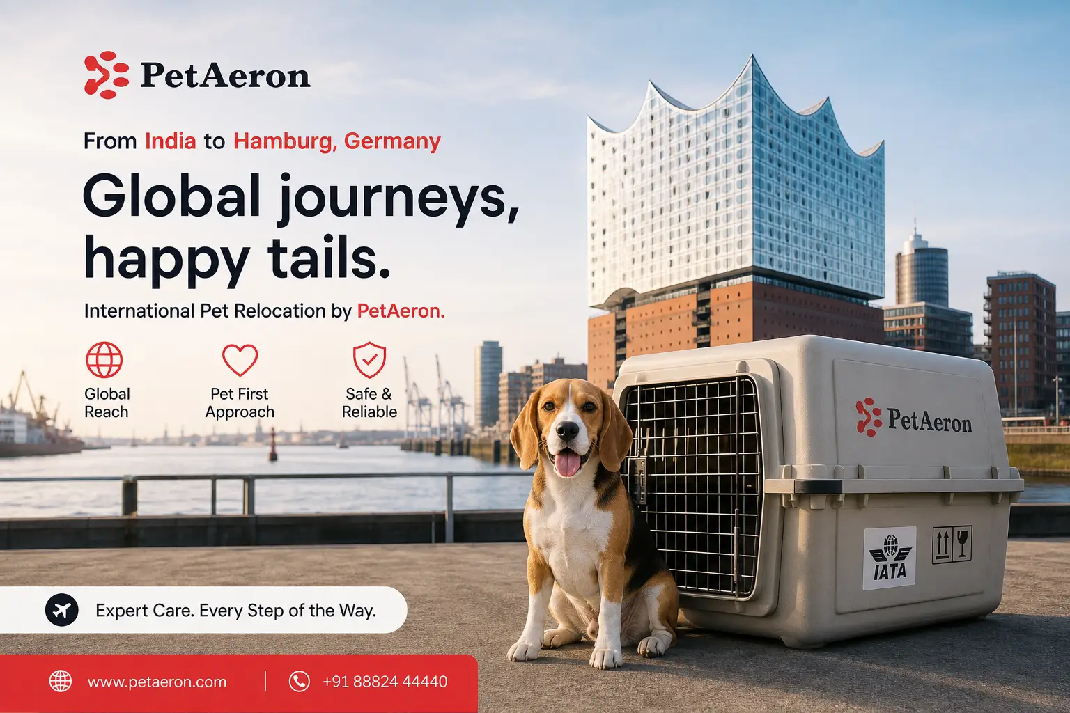 International pet relocation services from India to Hamburg, dog in IATA travel crate with Hamburg harbor and Elbphilharmonie