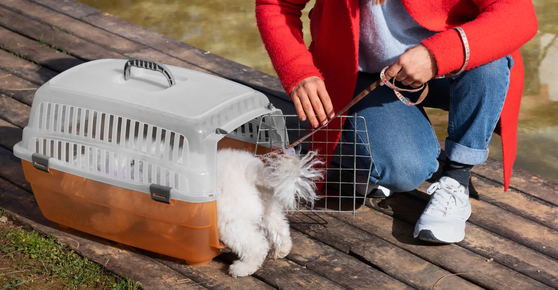 International pet relocation services from India, dog in IATA travel crate ready for worldwide transport